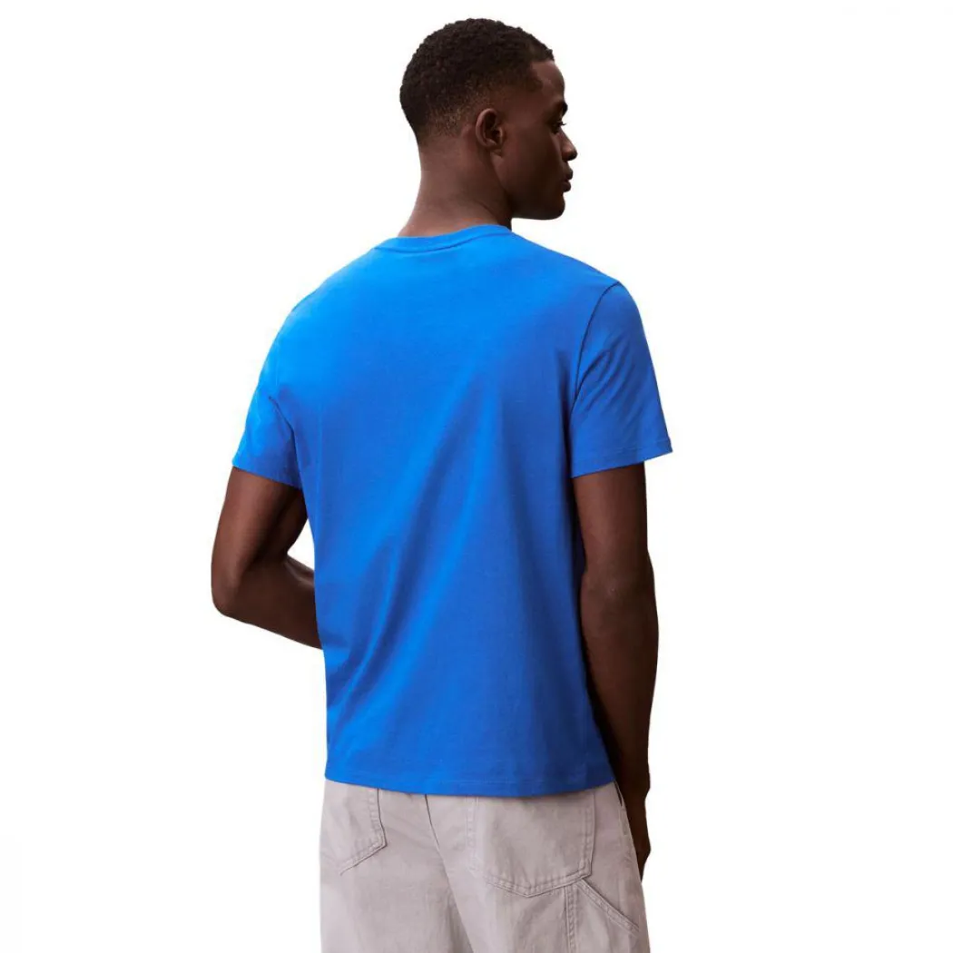 CALVIN KLEIN T-SHIRT - LV04RC272G