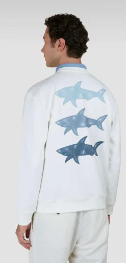 PAUL AND SHARK FELPA - 25411855