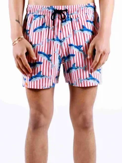 SUN 68 COSTUME Primavera/Estate | Soreca Shop Online Napoli